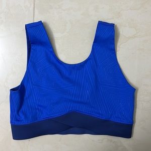 Ivy Park blue bra top
